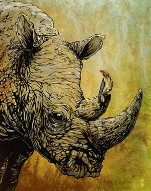 Wildlife Art by David Lozeau